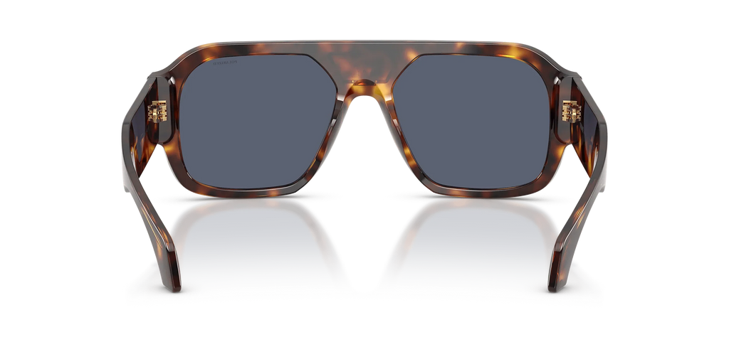 Men's Tortoise Versace Sunglasses