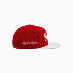 Sombrero Tachonado de Lana Buck 50 de Breyer