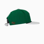 Breyer's Buck 50 Boston Celtics Hat With Leather Visor