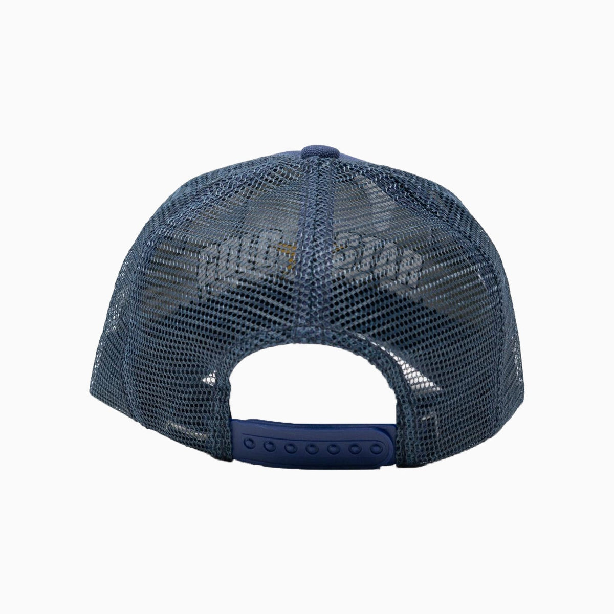 The Lion Trucker Hat
