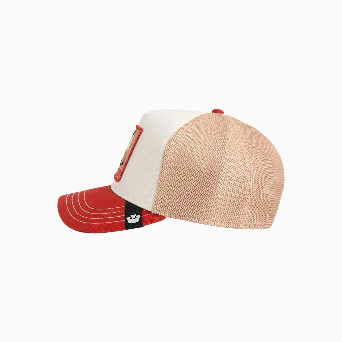 Casquette de routier Tricolor Fox