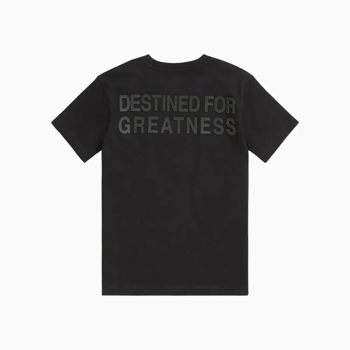 Kid's Destined For Greatness T-Shirt and Shorts Outfit