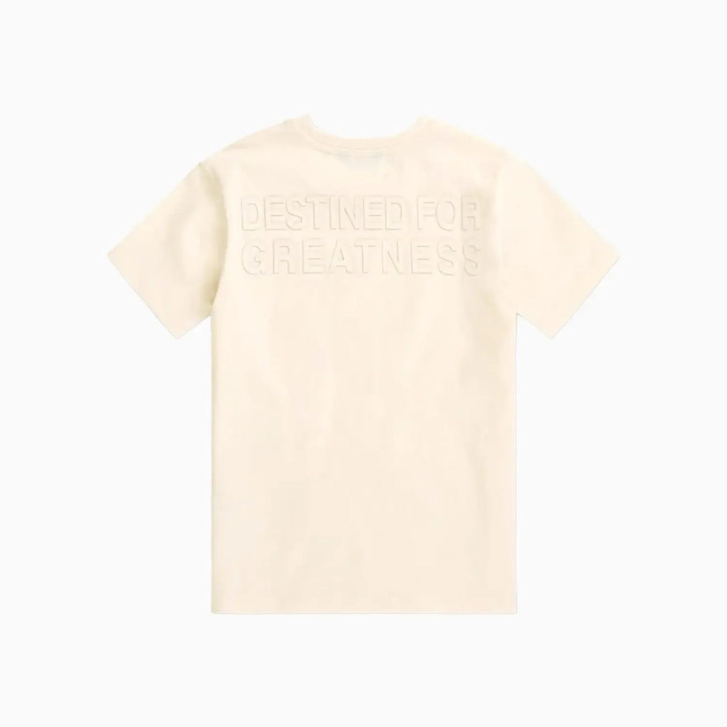 Kid's Destined For Greatness T-Shirt and Shorts Outfit