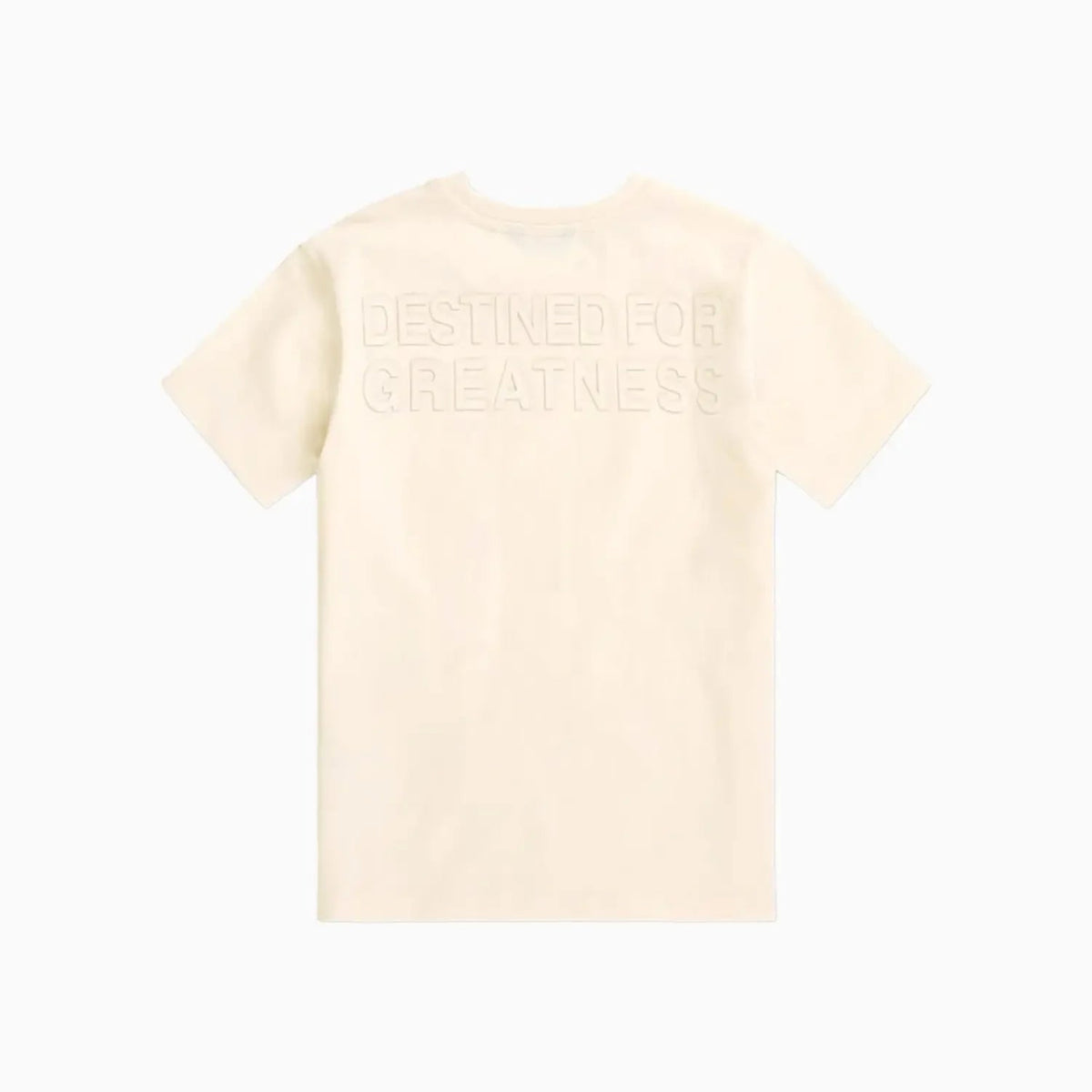 Kid's Destined For Greatness T-Shirt and Shorts Outfit