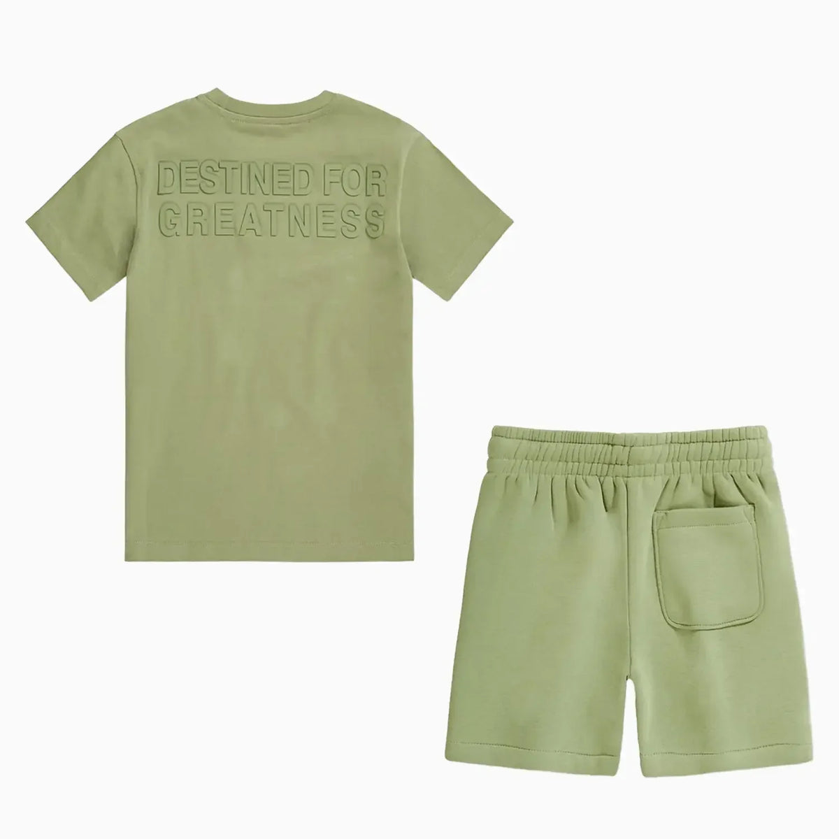 Kid's Destined For Greatness T-Shirt and Shorts Outfit