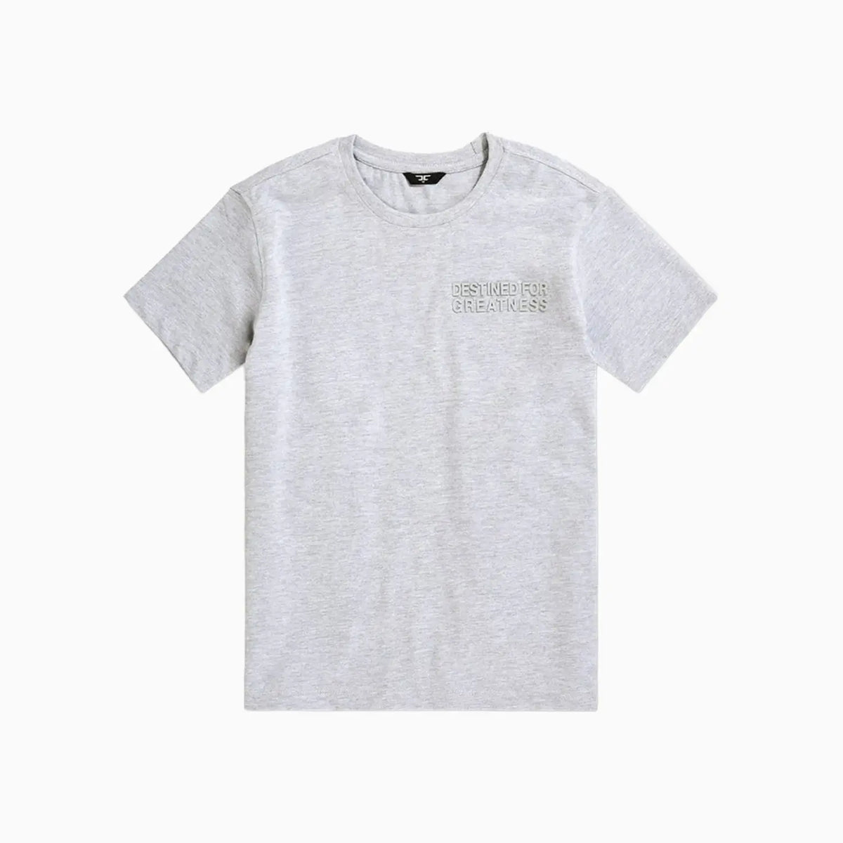 Kid's Destined For Greatness T-Shirt and Shorts Outfit