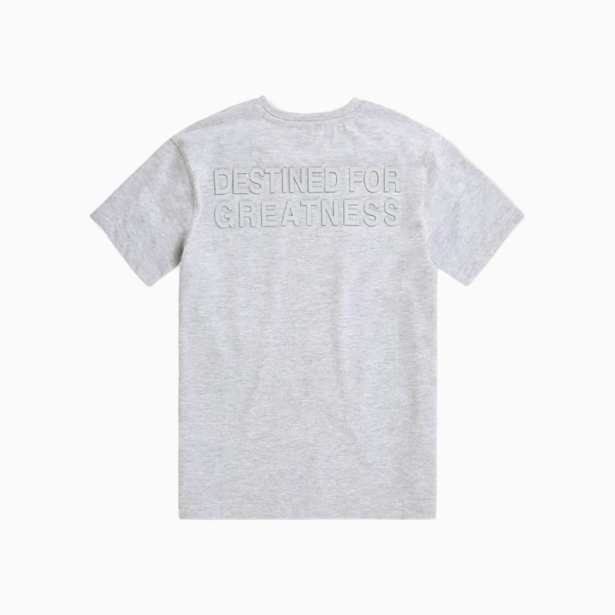 Kid's Destined For Greatness T-Shirt and Shorts Outfit