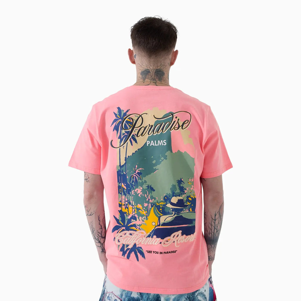 Men's Paradise Palms T-Shirt and Shorts Outfit