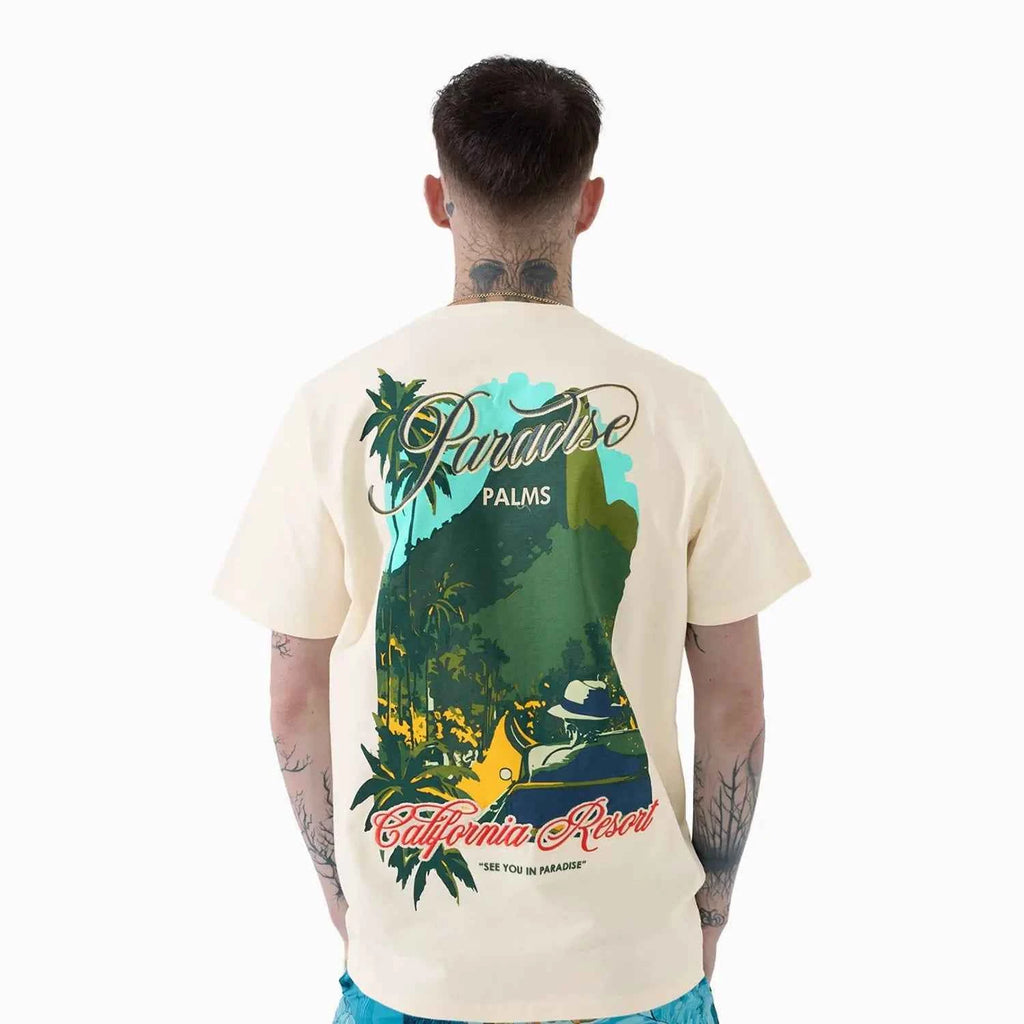 Men's Paradise Palms T-Shirt and Shorts Outfit