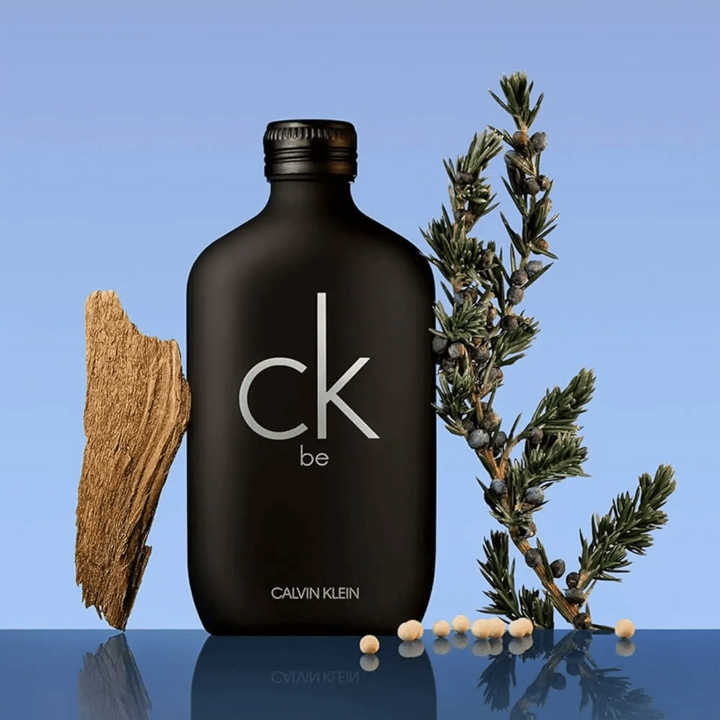 Calvin Klein CK Be Eau de Toilette pour homme 200 ml