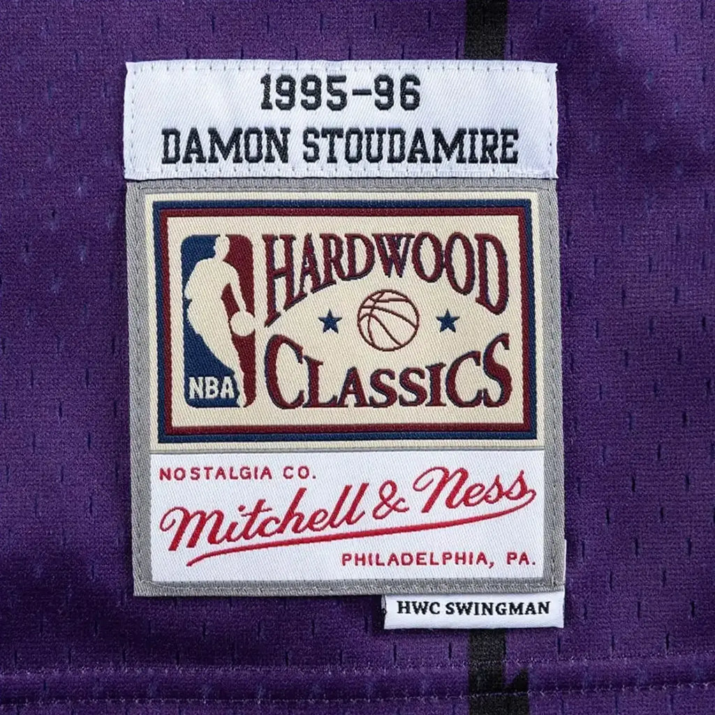 Swingman Damon Stoudamire Toronto Raptors 1995-96 NBA Jersey