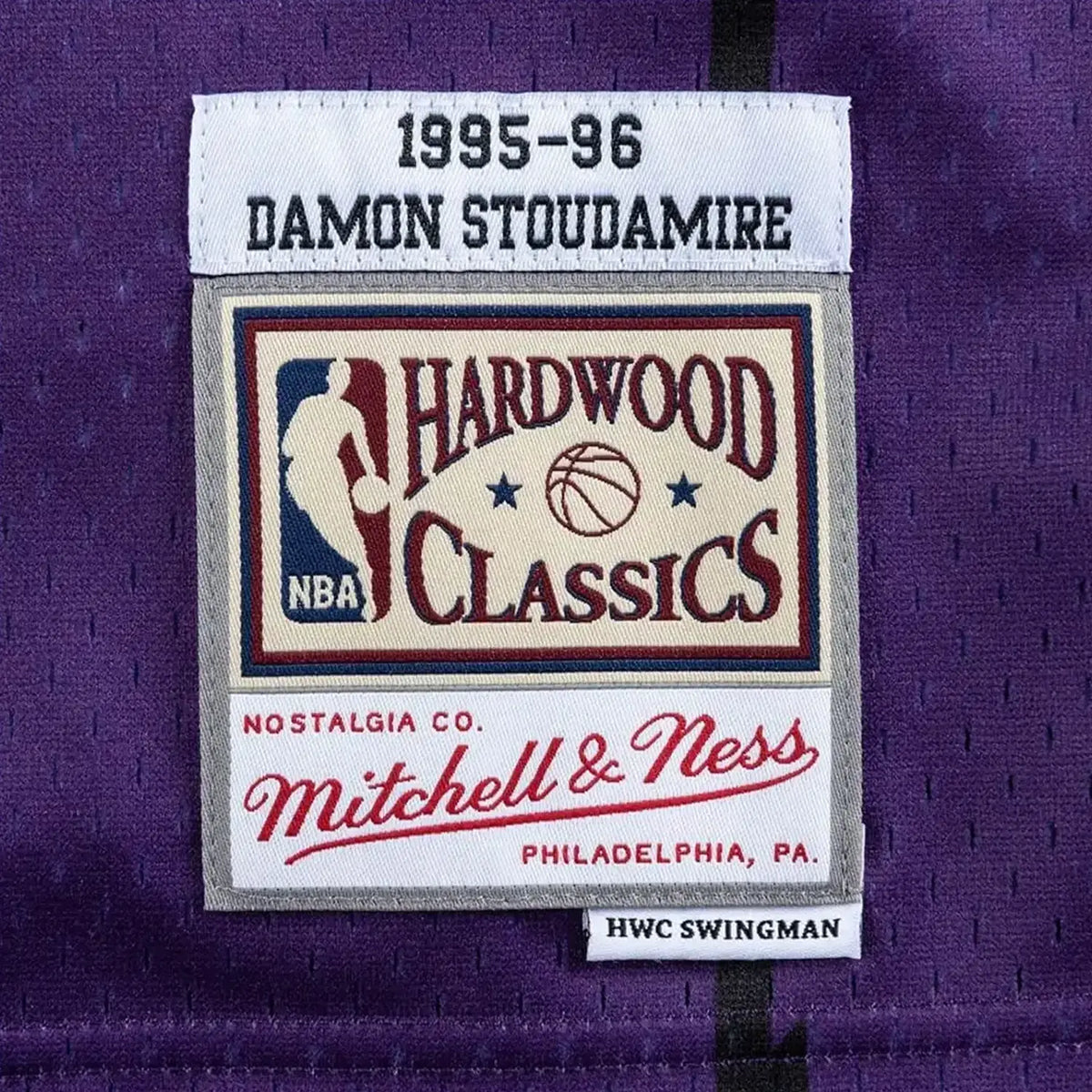 Swingman Damon Stoudamire Toronto Raptors 1995-96 NBA Jersey