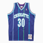 Maillot Swingman Dell Curry Alternate Charlotte Hornets NBA 1994-95
