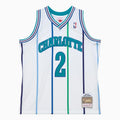 Maillot Swingman Larry Johnson Charlotte Hornets NBA 1992