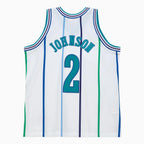 Maillot Swingman Larry Johnson Charlotte Hornets NBA 1992