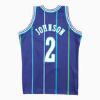 Maillot Swingman Larry Johnson Charlotte Hornets NBA 1994-95