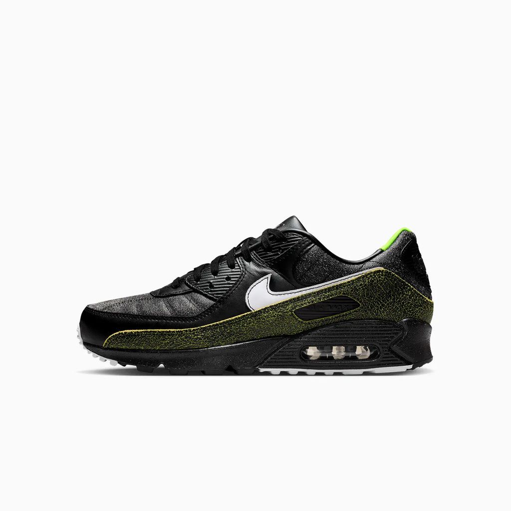 Air Max 90 « Tiempo » pour homme