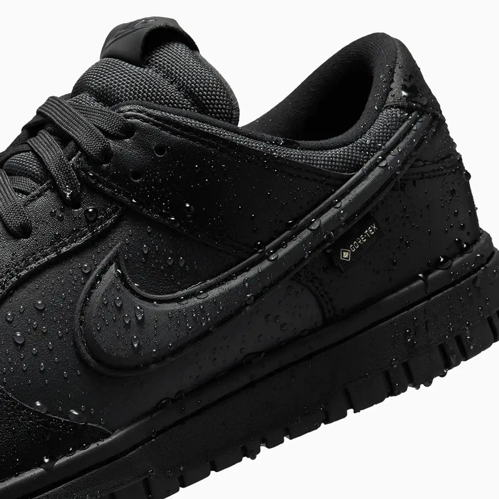 Dunk Low Gore-Tex Triple Black pour homme