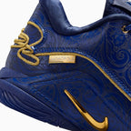 LeBron XXII pour homme « Token »