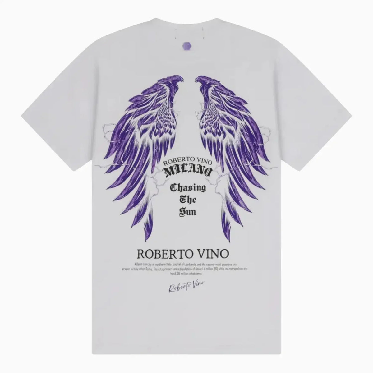 Men's Chasing The Sun T-Shirt