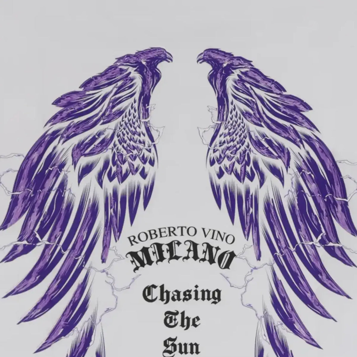 Men's Chasing The Sun T-Shirt