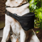 Le sac bandoulière Savvy HQ